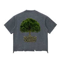 ROOTED IN CHRIST